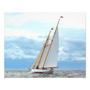 Uitgaand op de briljante foto afdruk