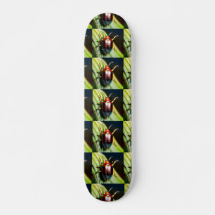Uitgebrand Skateboard