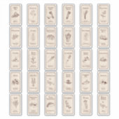 Uitgebreide Apothecary Spice Labels (Voorkant)