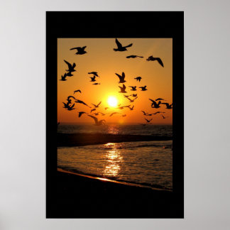 Uitgebreide zonsonderdruk poster