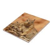 Uitgekoeld rond eekhoorn tegeltje (Zijkant)