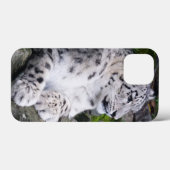 Uitgekoelde sneeuwluipaard Case-Mate iPhone case (Achterkant (horizontaal))