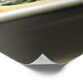 Uitgelekte deegschelpen met spinazie poster (Hoek)