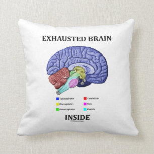 Uitgeput brein in Humor met anatomisch brein Kussen