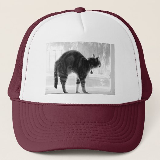 Uitgerekte Indigo Potlood Trucker Pet (Voorkant)