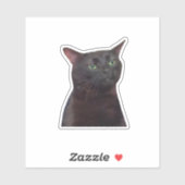 Uitgestreken Kat, Zwarte Kat Uitgestreept Meme Sticker (Vel)