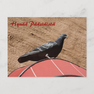 Uitkijkduif Happy Easter briefkaart
