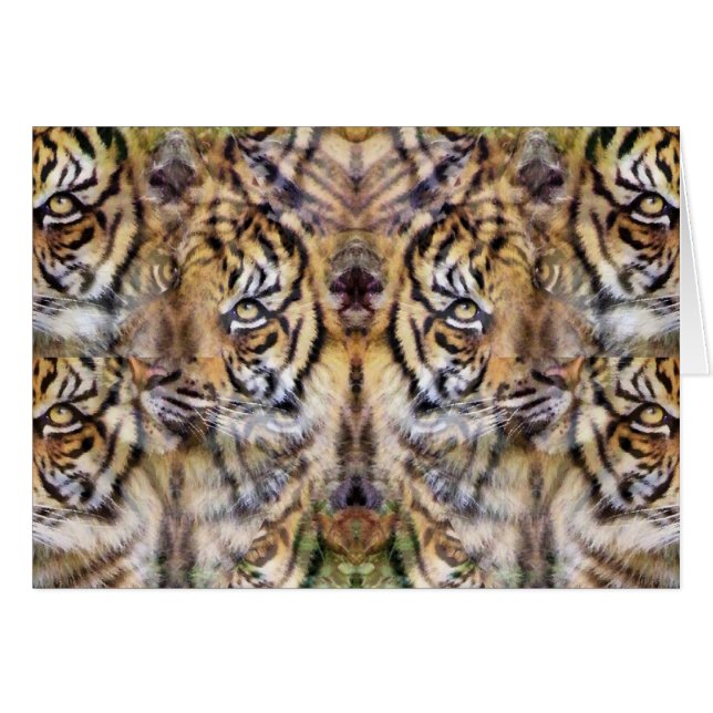 Uitkijken_ (Voorkant Horizontaal)