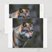 Uitnodiging & Aankondiging (Voorkant / Achterkant)