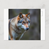 Uitnodiging & Aankondiging (Achterkant)