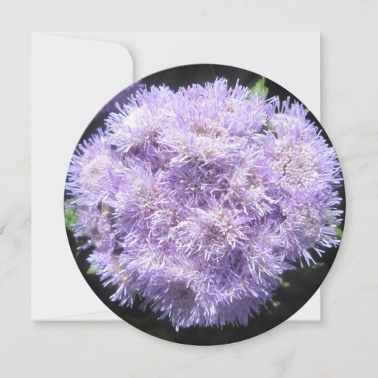Uitnodiging - Ageratum (Voorkant)