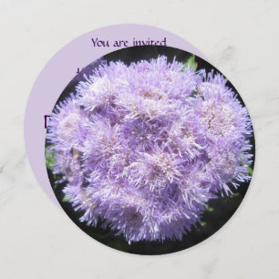 Uitnodiging - Ageratum