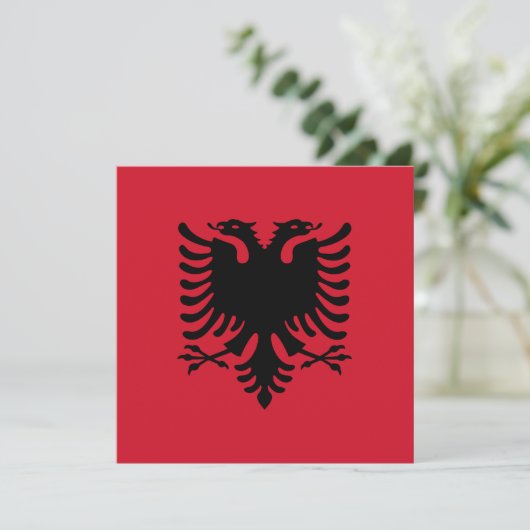 Uitnodiging Albanië om vlag te voeren (Staand voorkant)