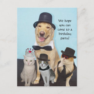  uitnodiging briefkaart