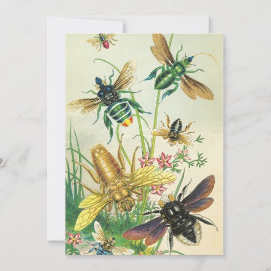 Uitnodiging Buzz van bijenpartij (Voorkant)