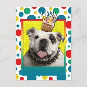 Uitnodiging Cupcake - Bulldog - Licht