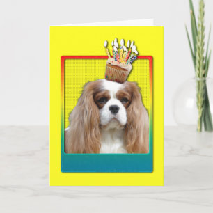 Uitnodiging Cupcake - Cavalier - Blenheim