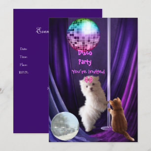 Uitnodiging Disco Feest Hond Kat Maltezer Puppy