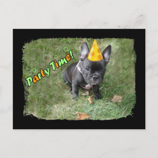 Uitnodiging Franse Bulldog Party