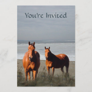 Uitnodiging om beach Horse uit te zenden