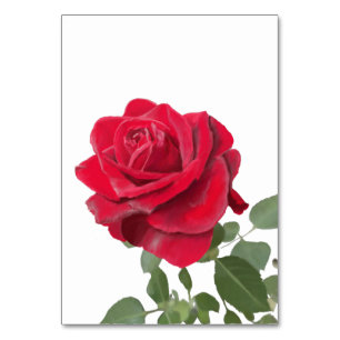 Uitnodiging Rode roos - symbool van liefde Kaart