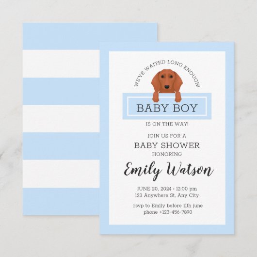 Uitnodiging tot Baby shower van Dachshund (Voorkant / Achterkant)