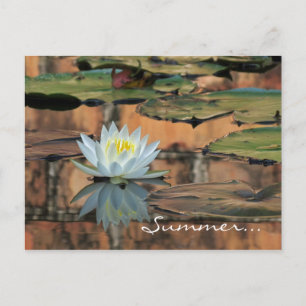 Uitnodiging tot Briefkaart van de zomerse partij