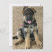 Uitnodiging tot herdenking van Shepherd Puppy (Voorkant)