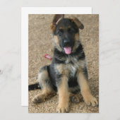 Uitnodiging tot herdenking van Shepherd Puppy (Voorkant / Achterkant)