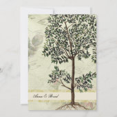  uitnodiging tot het uitroepen van de Myrtle Tree  (Achterkant)