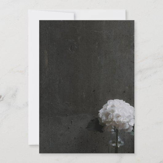 Uitnodiging tot het uitzenden van een roestvrij zw (Achterkant)