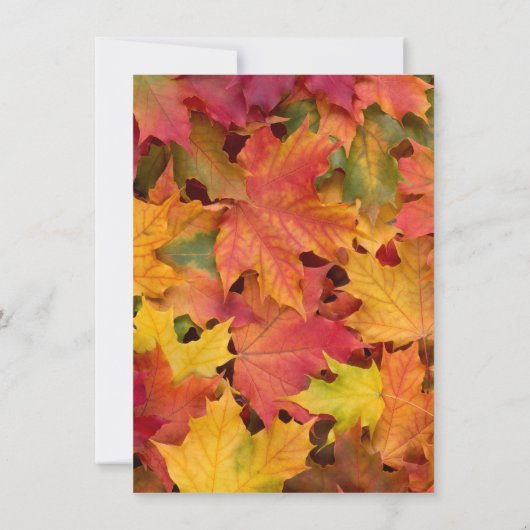 Uitnodiging tot het uitzenden van het Rustic Fall (Achterkant)