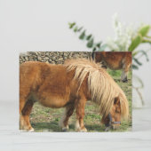 Uitnodiging tot kastanjepaarden (Staand voorkant)