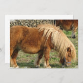 Uitnodiging tot kastanjepaarden (Voorkant / Achterkant)