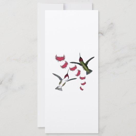 Uitnodiging tot  uitzending van gevechtsvogels (Achterkant)