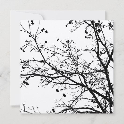 Uitnodiging tot weduwschap rond de zwarte en witte (Achterkant)