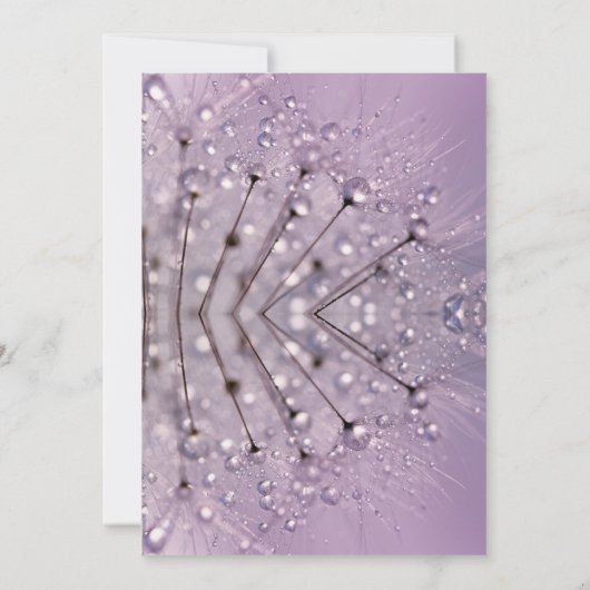 Uitnodiging tot weduwschap tussen Lavender Raindro (Achterkant)