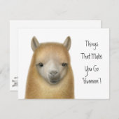 Uitnodiging van Alpaca (Voorkant / Achterkant)