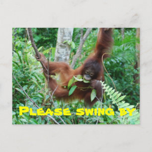 Uitnodiging van Cute Animal Swingers Party Briefkaart