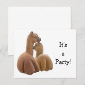 Uitnodiging voor Alpaca Buddies (Voorkant / Achterkant)