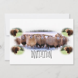 Uitnodiging voor BBQ of Dinner Party