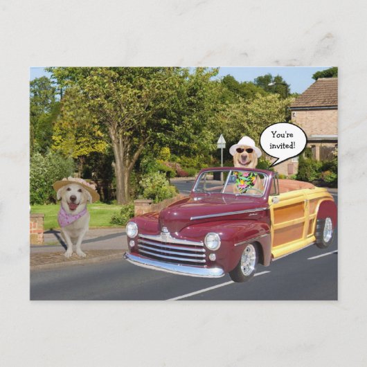 uitnodiging voor een  Briefkaart (Voorkant)