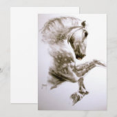 Uitnodiging voor fokpaarden (Voorkant / Achterkant)