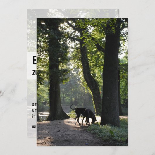 Uitnodiging voor Grote Dane (Voorkant / Achterkant)