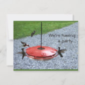 Uitnodiging voor kolibrifeestje (Voorkant)