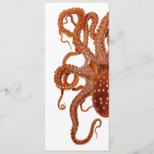  uitnodiging voor octopus