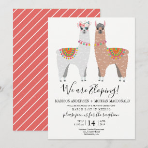 Uitnodiging voor ontvangst na Llama-ontsnapping