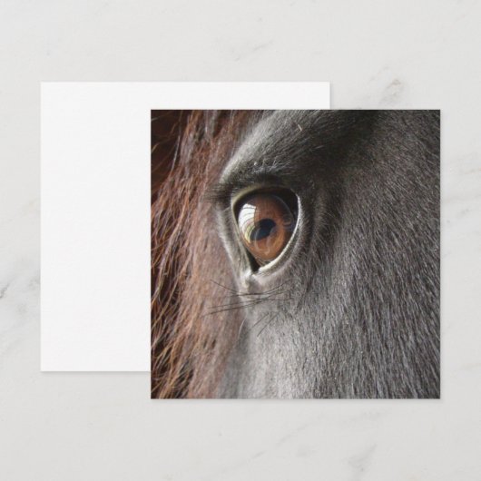 Uitnodiging voor paarden van het Friesian Horse Ey (Voorkant / Achterkant)