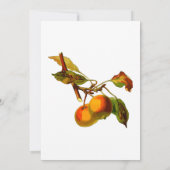 Uitnodiging voor piekbridal (Achterkant)