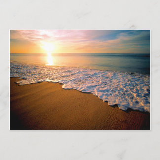 Uitnodiging voor Sunset Beach Weddenschap